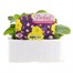 Primrose F1 Spring Sunshine 6 Pack Boxed Bedding Alternative Image