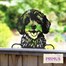 Primus Metal Cockapoo Peeking Dog Garden Decor Silhouette (PF1011)Alternative Image1