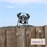 Primus Metal Pug Peeking Dog Garden Decor Silhouette (PF1023)Alternative Image1