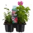 Recipe Pink Mix Carry Pack Box Bedding Alternative Image