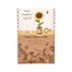 Robotime Sunflower Bloom Craft 3D Wooden Puzzle (TW011)Alternative Image1