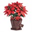 Rowood Poinsettia Wooden Puzzle by Robotime (TF001) Alternative Image