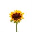 Rudbeckia Summer Daisy Bronze Bicolour 3L Pot BeddingAlternative Image1