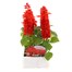 Salvia Splendens 8 Pack Boxed BeddingAlternative Image1