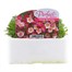 Saxifrage Pixie 6 Pack Boxed Bedding Alternative Image