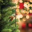 Scentsicles Two Dashes of Cinnamon Scented Christmas Hanging Ornament (6 Pack)Alternative Image3