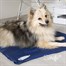 Scruffs X-Large Self Cooling Dog Cool Mat - Blue (120 x 75cm)Alternative Image4