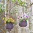 Smart Garden Artificial Hanging Basket Bouquets - Meadow Purple (5610000)Alternative Image1