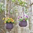 Smart Garden Artificial Hanging Basket Bouquets - Meadow Yellow (5610000) Alternative Image