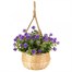 Smart Garden Basket Bouquet - Blue (5040055)Alternative Image2
