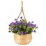 Smart Garden Basket Bouquet - Blue (5040055) Alternative Image