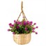 Smart Garden Basket Bouquet - Purple (5040055)Alternative Image2