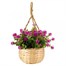 Smart Garden Basket Bouquet - Purple (5040055) Alternative Image