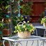 Smart Garden Basket Bouquet - Yellow (5040055)Alternative Image1