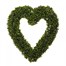 Smart Garden Boxwood Heart Totally Topiary (5045020)Alternative Image1