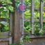 Smart Garden Butterfly Hanging Windchime 47cm (5083004) Alternative Image