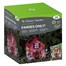 Smart Garden Fairies Only Solar Elvedon Collection (1020982)Alternative Image6