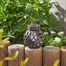 Smart Garden Festival Lantern Garden Solar Light (1080075)Alternative Image1