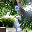 Smart Garden Floral Hanging Windchime 66cm (5083027) Alternative Image