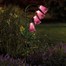 Smart Garden Foxglove Stake Light (1012535) Alternative Image