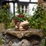 Smart Garden Frog Planter (5071006)Alternative Image1