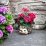 Smart Garden Hedgehog Planter (5071007)Alternative Image1