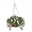 Smart Garden Petunia Hanging Basket (5040052)Alternative Image1