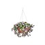 Smart Garden Petunias 30cm Artificial Hanging Basket (5611010)Alternative Image1