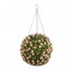 Smart Garden Pink Rose Topiary Ball (5040041)Alternative Image1