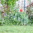 Smart Garden Smart Fence Lawn Edging 40 cm x 3m (7010047)Alternative Image1