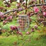 Smart Garden Ultra Squirrel Proof Peanut Wild Bird Feeder (7512002)Alternative Image2