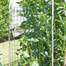 Smart Garden WeldMesh Panel - 50 mm x 50 mm Mesh 0.6 x 0.9m PVC coated (7030054)Alternative Image1