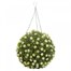 Smart Garden White Rose Ball 30Cm Totally Topiary (5040042)Alternative Image1