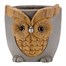Smart Garden Woodstone Owl Planter (5071012)Alternative Image1
