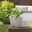 Stewart Garden Cotswold Square Planter - 38cm - Limestone Grey (5141079)Alternative Image1