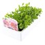 Sweet Pea Spencer Waved Mix 6 Pack Boxed BeddingAlternative Image3