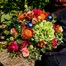 The Rockin' Retro Festive Hand Tied Bouquet Alternative Image