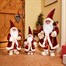 Three Kings 45cm Large Papa Noel Standing Christmas Decoration - Burgundy (2516036) Alternative Image