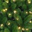 Tree Classics 1.8m (6ft) Blue Green Arctic Spruce Pre-Lit with Warm LEDs Artificial Christmas Tree (H72-626-386LM) Alternative Image