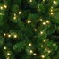 Tree Classics 2.1m (7ft) Blue Green Arctic Spruce Pre-Lit with Warm LEDs Artificial Christmas Tree (H84-854-386LM) Alternative Image