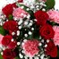12 Roses & Carnations Cut Flower Hand Tied BouquetAlternative Image2