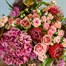 Velvet Bramble Autumn Floral Hand Tied Bouquet Alternative Image