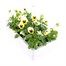 Viola F1 Lemon Ice Blotch 6 Pack Boxed Bedding Alternative Image