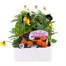 Viola F1 Tricky Halloween Mixed 6 Pack Boxed Bedding Alternative Image