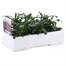 Wallflower Aida Carmine 6 Pack Boxed Bedding Alternative Image