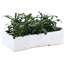 Wallflower Aida Carmine 6 Pack Boxed Bedding Alternative Image