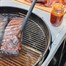 Weber Performer Premium 57cm Charcoal Barbecue (1501966) Alternative Image