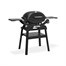 Weber Q2200N with Stand Gas Barbecue (1501090)Alternative Image1