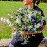 Winter Harmony Festive Hand Tied Bouquet Alternative Image