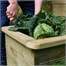 Zest 4 Leisure 4 Tier Raised Bed (31321)Alternative Image3